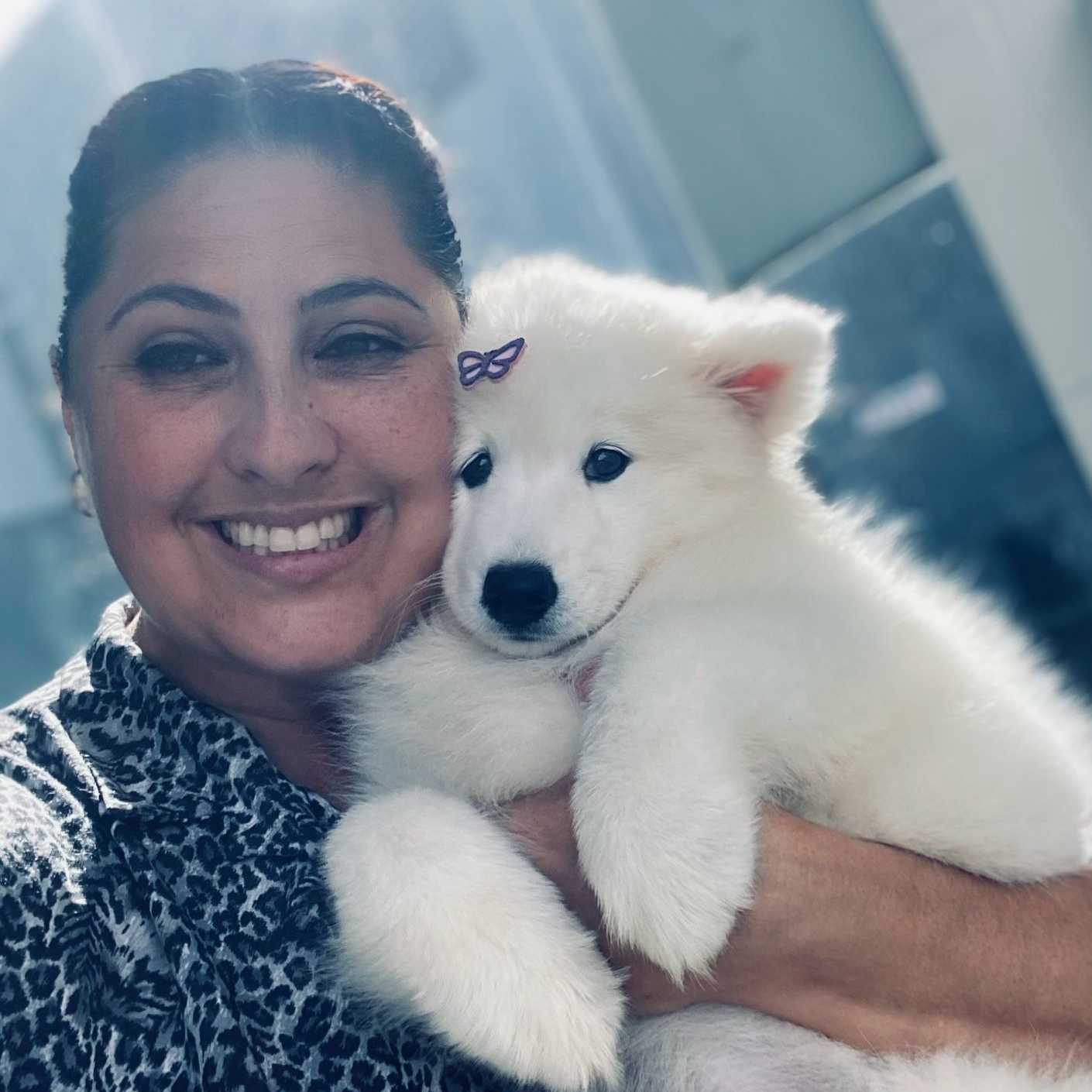 O Canil Samoieda House – Amor, Cuidado e Responsabilidade