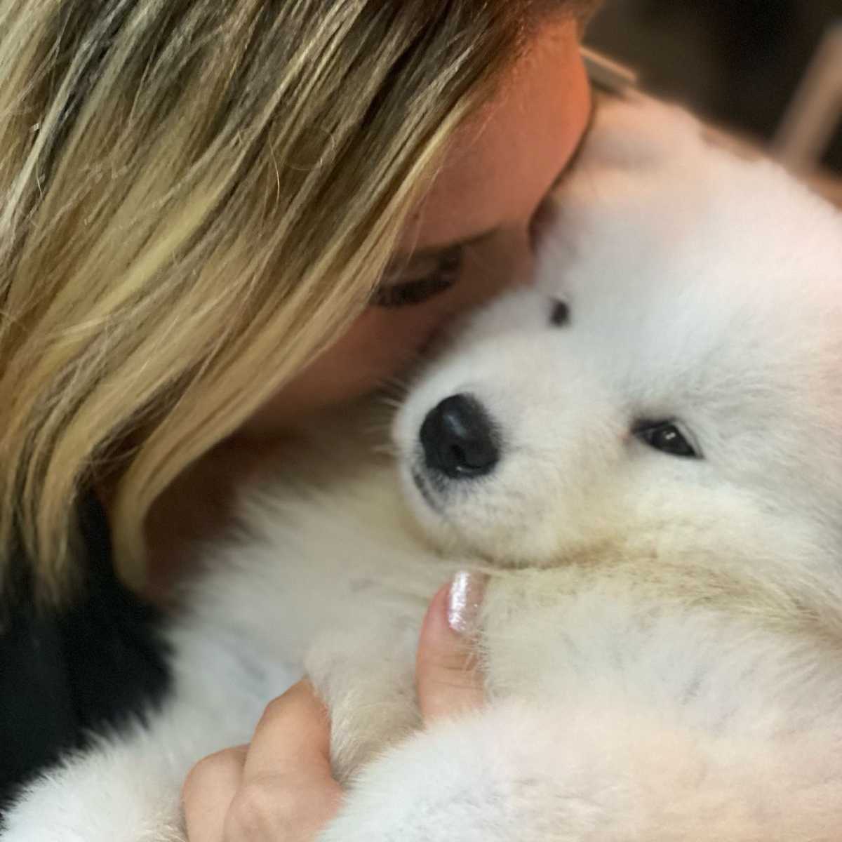 A Raça Mais Doce do Mundo Está Aqui